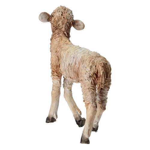 Standing lamb 30 cm for Angela Tripi nativity 6
