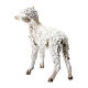Standing lamb 30 cm for Angela Tripi nativity s2