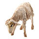 Schaf gebeugt für 13cm Krippe Angela Tripi s2