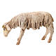 Nativity scene figurine, Sheep looking down by Angela Tripi 13 cm s1