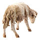 Nativity scene figurine, Sheep looking down by Angela Tripi 13 cm s4