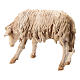 Ovelha curvada para presépio Angela Tripi com figuras de 13 cm de altura média s3