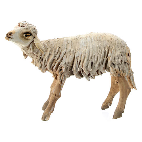 Schaf aus Terrakotta für 13cm Krippe Angela Tripi 1