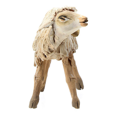 Schaf aus Terrakotta für 13cm Krippe Angela Tripi 2