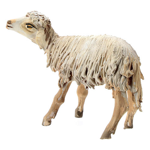 Schaf aus Terrakotta für 13cm Krippe Angela Tripi 3