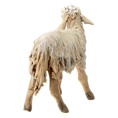 Schaf aus Terrakotta für 13cm Krippe Angela Tripi 4