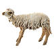 Schaf aus Terrakotta für 13cm Krippe Angela Tripi s1