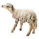 Schaf aus Terrakotta für 13cm Krippe Angela Tripi s3
