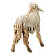Sheep in terracotta, 13 cm created by Angela Tripi s4