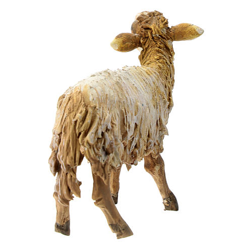 Schaf für 13cm Krippenfiguren Angela Tripi 4