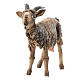 Nativity scene figurine, Goat in terracotta by Angela Tripi 13 cm s2