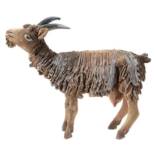 Baby goat in terracotta, 13 cm Angela Tripi 1
