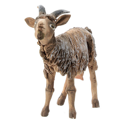 Baby goat in terracotta, 13 cm Angela Tripi 2