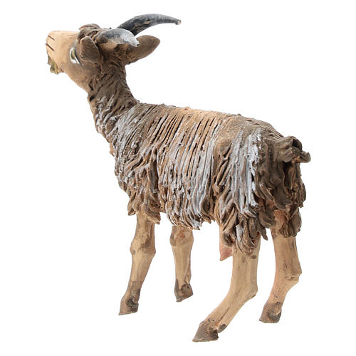 Baby goat in terracotta, 13 cm Angela Tripi 3