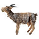 Baby goat in terracotta, 13 cm Angela Tripi s1