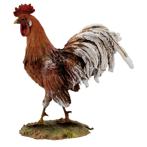 Gallo de terracota belén 30 cm A. Tripi 1