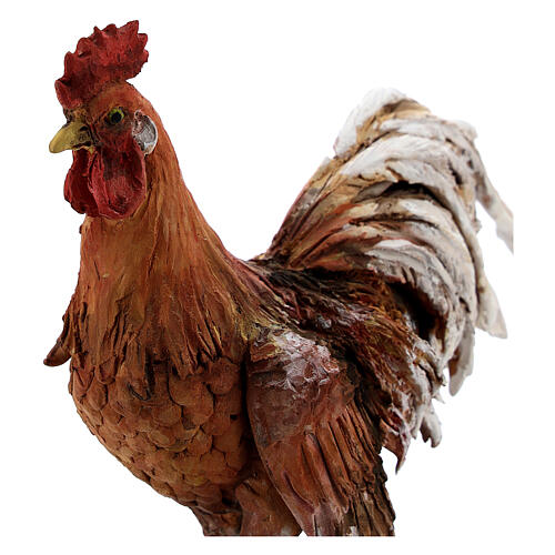 Gallo de terracota belén 30 cm A. Tripi 2