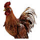 Gallo de terracota belén 30 cm A. Tripi s2