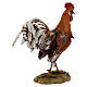 Gallo de terracota belén 30 cm A. Tripi s6