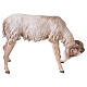 Fighting goats scene, 30 cm Tripi Nativity Scene s5