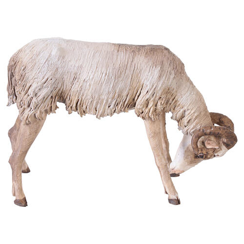 Scene goats fighting, 30 cm Tripi nativity 5