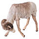 Scene goats fighting, 30 cm Tripi nativity s4