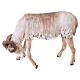 Scene goats fighting, 30 cm Tripi nativity s7