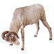Scene goats fighting, 30 cm Tripi nativity s10