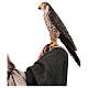 Falconiere 30 cm presepe Angela Tripi s8