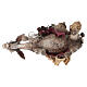 Moor on donkey, 18 cm Angela Tripi nativity s8