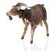 Hirte, seine Ziegen fütternd, für 18 cm Krippe von Angela Tripi, Terrakotta s10