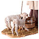 Bergère avec agneaux 30 cm crèche Angela Tripi terre cuite s5