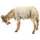 Hirte mit Schaf und Ziege aus Terrakotta Angela Tripi, 30 cm s8