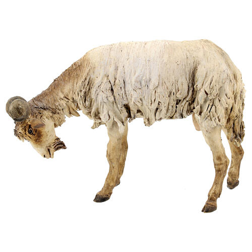 Berger avec mouton et chèvre 30 cm terre cuite Angela Tripi 8