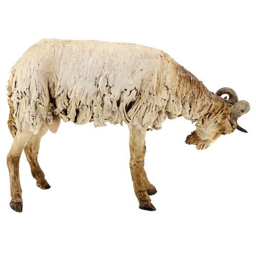 Berger avec mouton et chèvre 30 cm terre cuite Angela Tripi 12