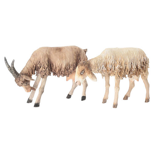 Shepherd 30 cm with sheep and goat Angela Tripi terracotta 6