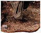 Hirte der einen Esel zieht Angela Tripi Terrakotta. 30 cm s14