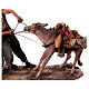 Shepherd pulling the donkey figure Angela Tripi terracotta 30 cm s7