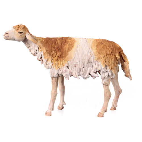 Hirte, sitzend mit Schaf, für 30 cm Krippe von Angela Tripi, Terrakotta 6