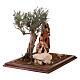 Jesus in prayer in the Garden of Olives with apostle, 30 cm Easter Creche by Angela Tripi s8