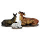 Set presepe completo 11 pz resina 20 cm s5