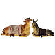 Set presepe completo stoffa 25 cm s5