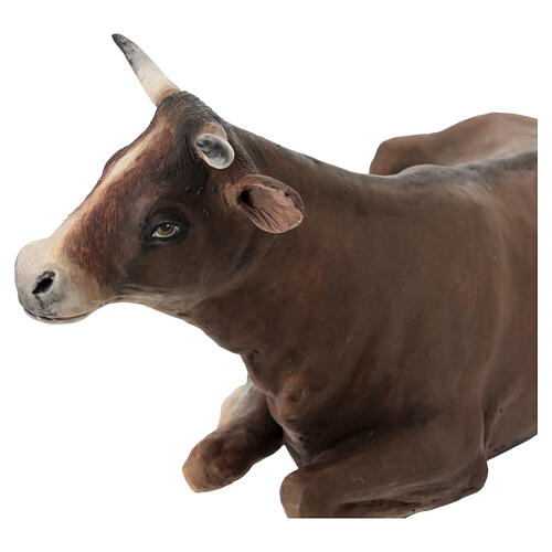 Bue Angela Tripi terracotta 30 cm 4