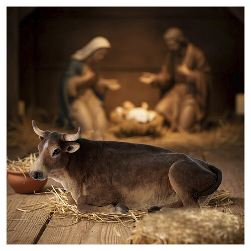 STOCK Ox for 35 cm Nativity Scene, Angela Tripi 2