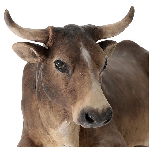 STOCK Ox for 35 cm Nativity Scene, Angela Tripi 3