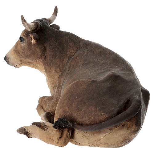 STOCK Ox for 35 cm Nativity Scene, Angela Tripi 4