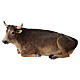 STOCK Ox for 35 cm Nativity Scene, Angela Tripi s1