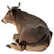 STOCK Ox for 35 cm Nativity Scene, Angela Tripi s4