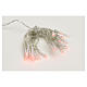 Fairy lights 20 red LED lights, for indoor use s1