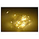 Christmas lights 20 LED lights,warm white, bare wire, indoor use s2
